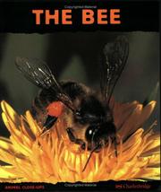 Cover of: The Bee by Paul Starosta