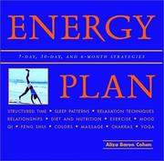 Cover of: The Energy Plan: Tap Your Inner Resource for Maximum Vitality