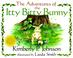 Cover of: The adventures of the itty bitty bunny