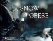 Cover of: Snow geese: grandeur and calamity on an Arctic landscape