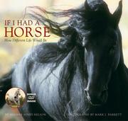 Cover of: If I Had a Horse: How Different Life Would Be
