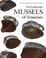 Cover of: The freshwater mussels of Tennessee