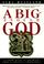 Cover of: A big-enough God