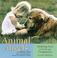 Cover of: Animal angels