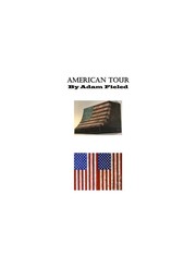 American Tour by Adam Fieled