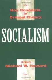 Cover of: Socialism (Key Concepts in Critical Theory)