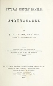 Cover of: Underground by John Ellor Taylor