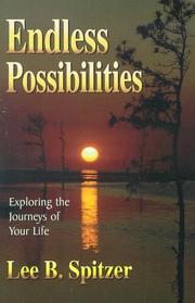 Cover of: Endless possibilities by Lee B. Spitzer