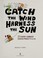 Cover of: Catch the wind, harness the sun
