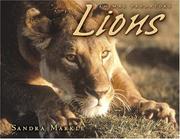 Cover of: Lions (Animal Predators)