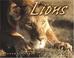 Cover of: Lions (Animal Predators)