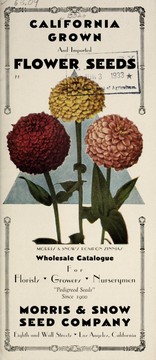 Cover of: California grown and imported flower seeds | Morris & Snow Seed Co