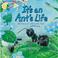 Cover of: It's an Ant's Life