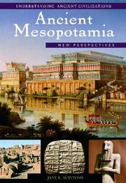 Cover of: Ancient Mesopotamia: New Perspectives (Understanding Ancient Civilizations Series)