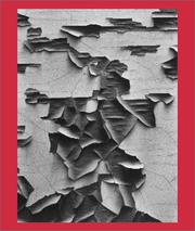Cover of: Aaron Siskind 100