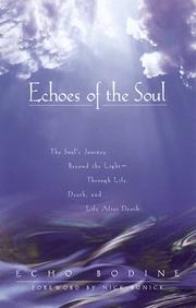 Cover of: Echoes of the soul: the soul's journey beyond the light through life, death, and life after death