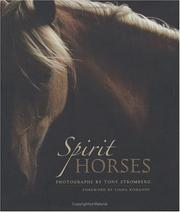 Cover of: Spirit horses by Tony Stromberg