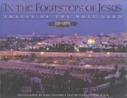 Cover of: In the Footsteps of Jesus by Susan Easton Black