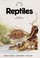 Cover of: Reptiles.