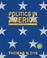 Cover of: Politics in America, National Version (5th Edition)