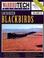 Cover of: Lockheed Blackbirds WarbirdTech Volume 10 (WarbirdTech)