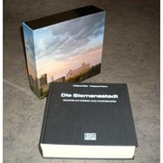 Die Siemensstadt by Wolfgang Ribbe