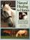 Cover of: Natural Healing for Horses