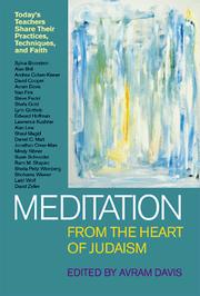 Cover of: Meditation from the Heart of Judaism by Avram Davis