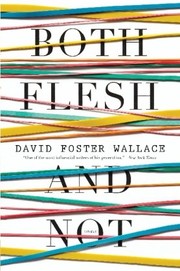 Both Flesh and Not: Essays