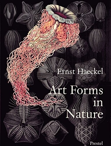 Art forms in nature by Ernst Haeckel