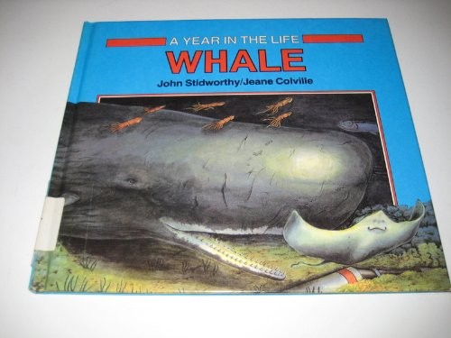 Whale by John Stidworthy