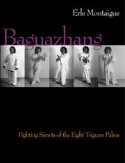 Cover of: Baguazhang | Erle Montaigue