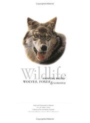 Cover of: Wildlife Painting Basics: Wolves, Foxes, & Coyotes (Wildlife Painting Basics)