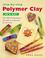 Cover of: Step by Step Polymer Clay in a Day