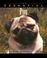 Cover of: The Essential Pug (Essential (Howell))