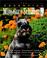 Cover of: The Essential Miniature Schnauzer (Essential (Howell))