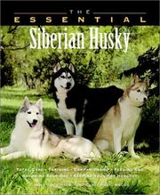 Cover of: The Essential Siberian Husky (Howell Book House's Essential)