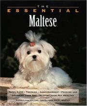 Cover of: The Essential Maltese (Howell Book House's Essential)