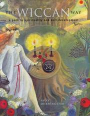 Cover of: The Wiccan Way by Sally Morningstar
