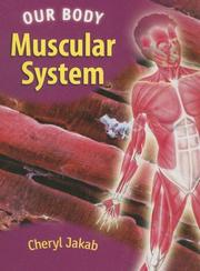 Cover of: Muscular System (Our Body) by 