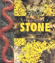 Cover of: Life Under a Stone (Halfmann, Janet. Lifeviews.) (Halfmann, Janet. Lifeviews.)