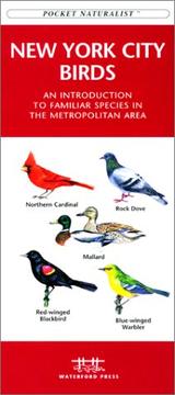 Cover of: New York City Birds