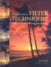Cover of: Professional Filter Techniques for Digital Photographers by Stan Sholik
