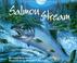 Cover of: Salmon Stream (Sharing Nature With Children Book)