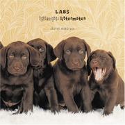 Labs by Sharon Montrose