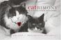 Cover of: Catrimony