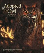 Adopted by an Owl by Robbyn Smith van Frankenhuyzen