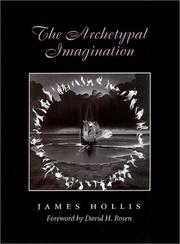 Cover of: The Archetypal Imagination (Carolyn and Ernest Fay Series in Analytical Psychology) by James Hollis