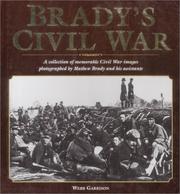 Brady's Civil War