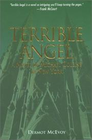 Cover of: Terrible angel by Dermot McEvoy